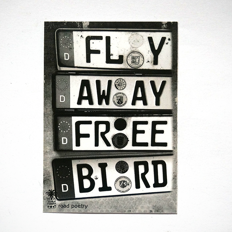 MaraCooya: "Fly Away Free Bird" - Sticker at SALZIG Berlin