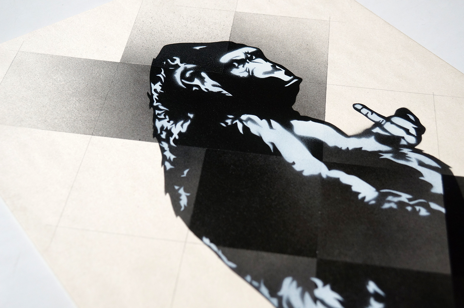 Hoya: Gorilla - Pattern - SALZIG Berlin - Art